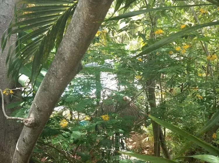 Fotos del hotel Green Tulum:  8