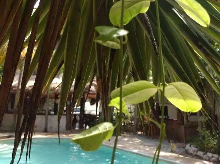Fotos del hotel Green Tulum:  24