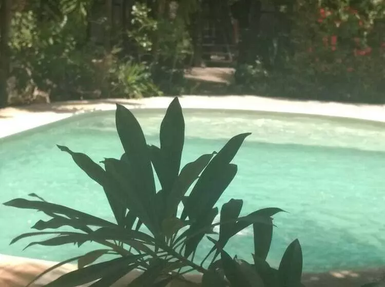 Fotos del hotel Green Tulum:  20