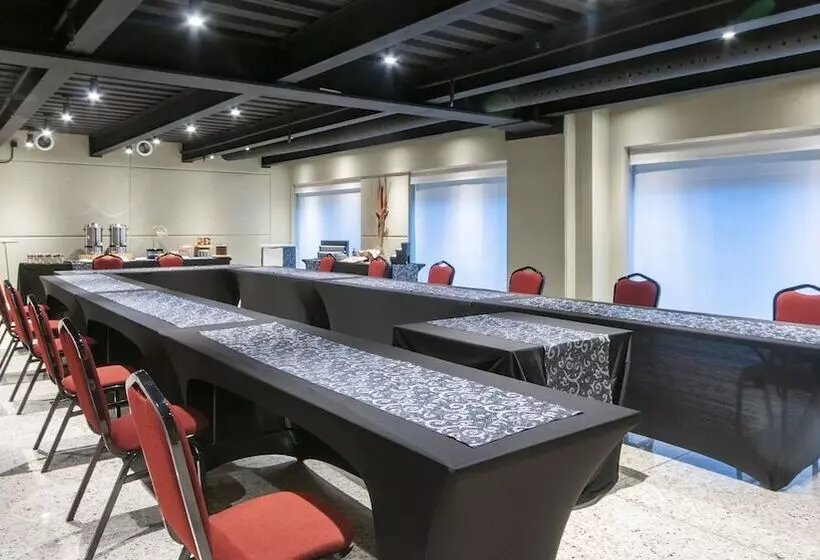 Fotos del hotel Holiday Inn Buenavista, An Ihg:  10