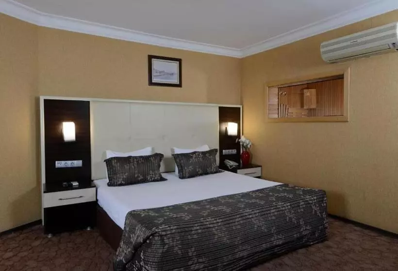 Fotos del hotel Ismira:  21