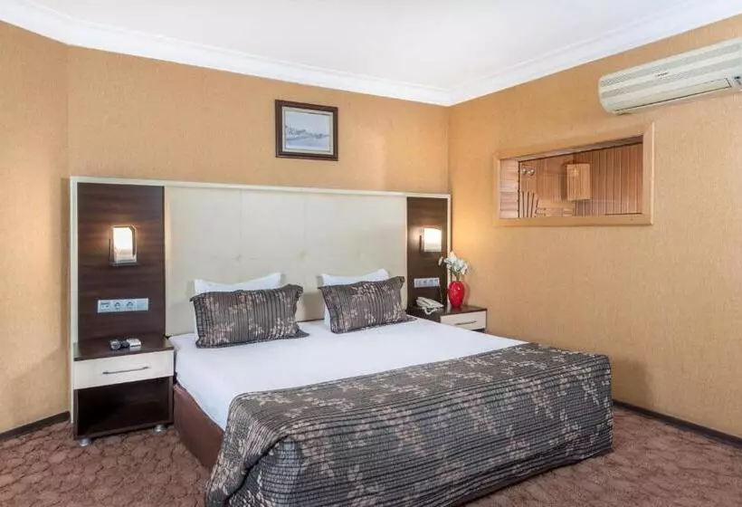 Fotos del hotel Ismira:  22