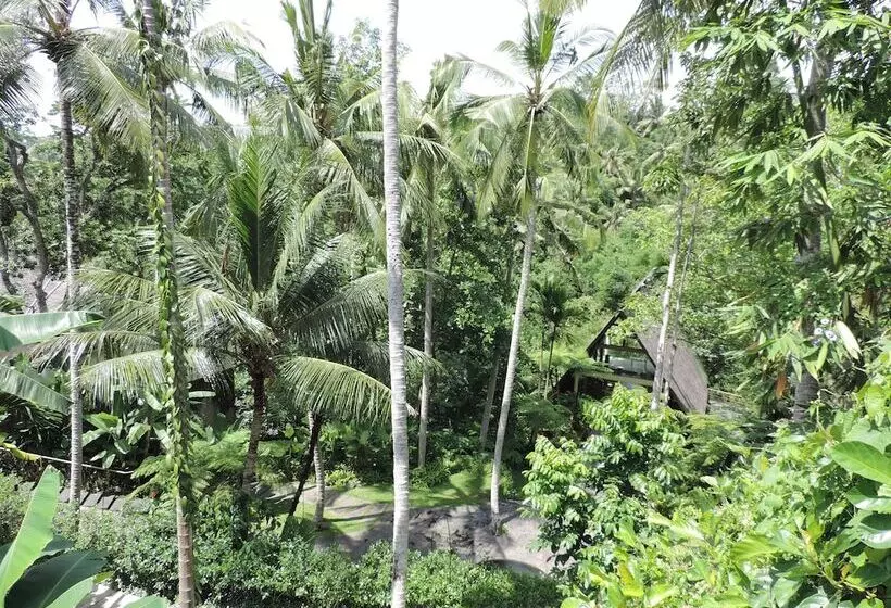 Fotos del hotel Nick S Hidden Cottages:  7