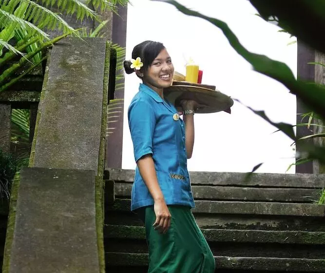 Fotos del hotel Nick S Hidden Cottages:  24