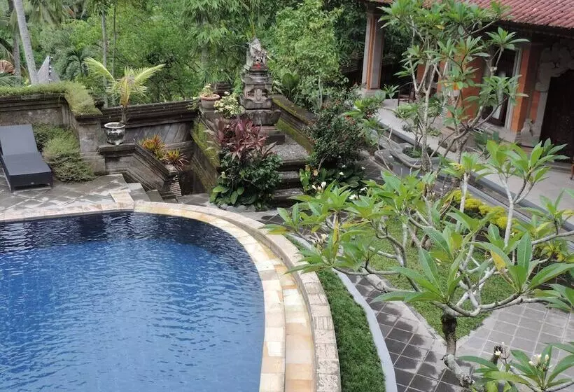 Nick S Hidden Cottages