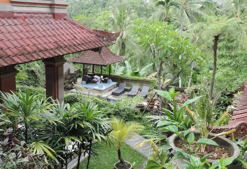 Fotos del hotel Nick S Hidden Cottages:  17