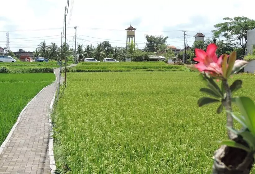 Fotos del hotel Nick S Hidden Cottages:  20