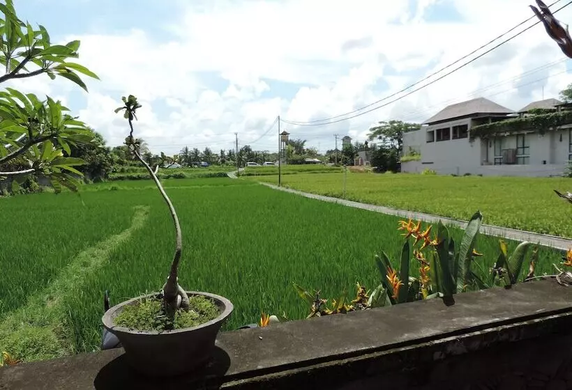 Fotos del hotel Nick S Hidden Cottages:  12