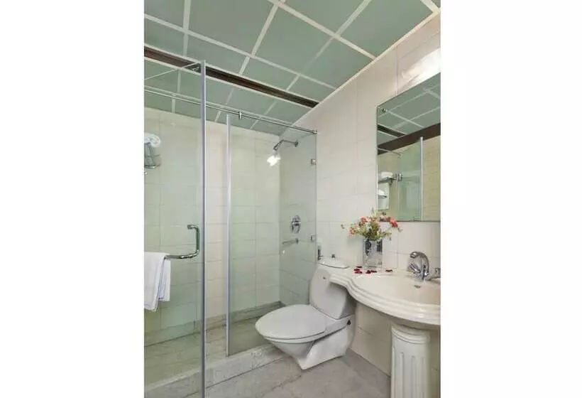 Fotos del hotel Regale Inn:  12