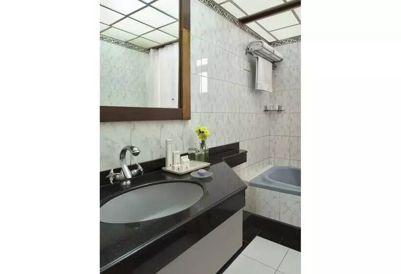 Fotos del hotel Regale Inn:  18