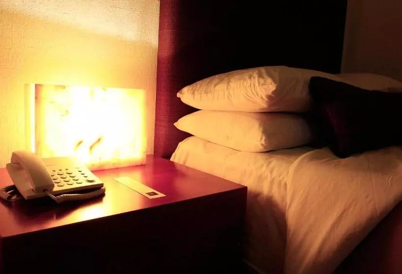 Fotos del hotel México Plaza Guanajuato:  16