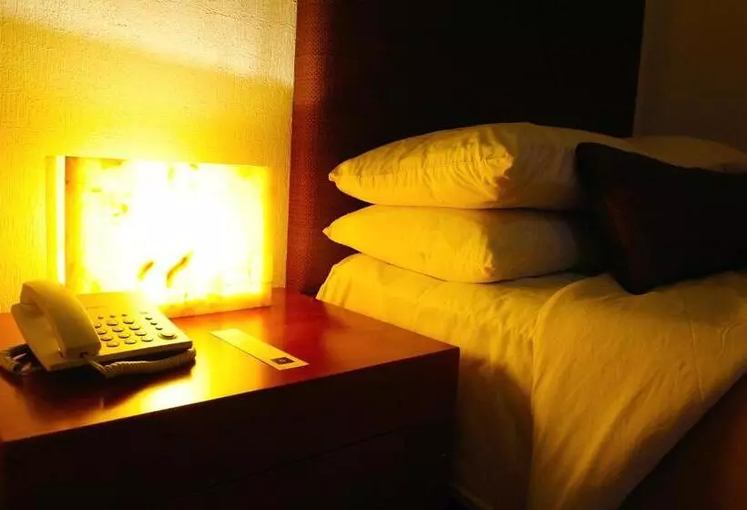 Fotos del hotel México Plaza Guanajuato:  22