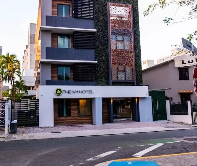 The Ivy  Adults Only