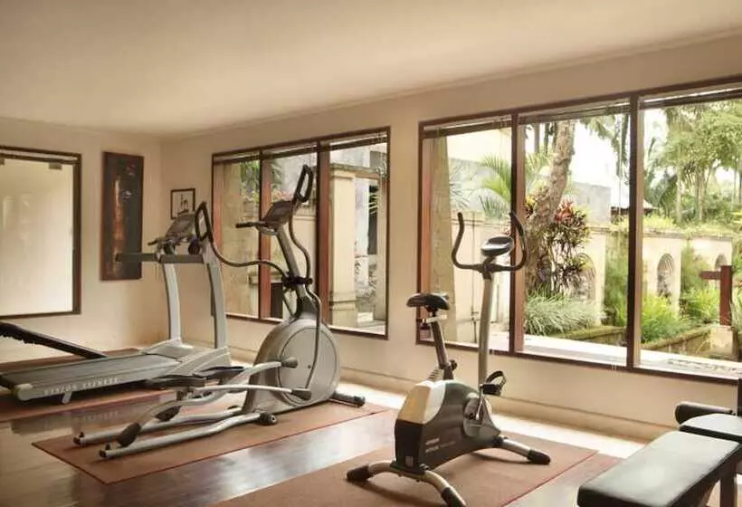 Fotos del hotel The Ubud Village Resort & Spa:  3