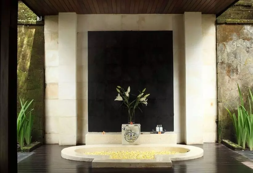 Fotos del hotel The Ubud Village Resort & Spa:  4