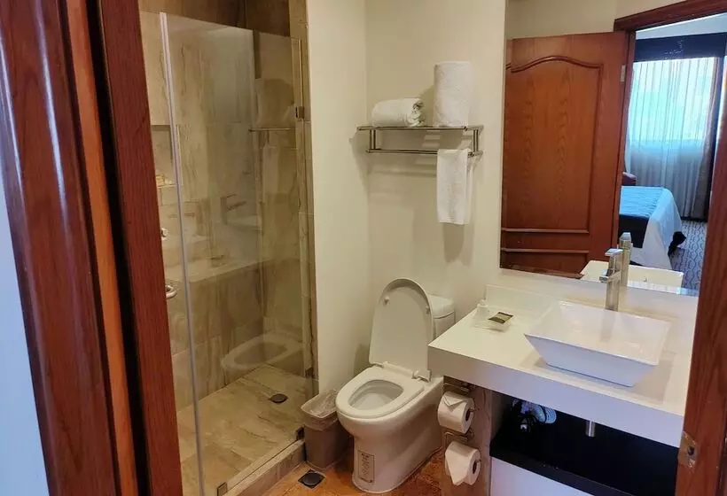 Fotos del hotel Mision Grand Torreon:  7