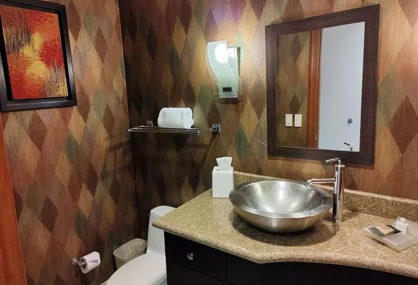 Fotos del hotel Mision Grand Torreon:  16