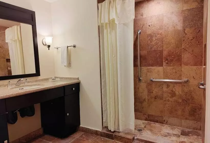 Fotos del hotel Mision Grand Torreon:  14