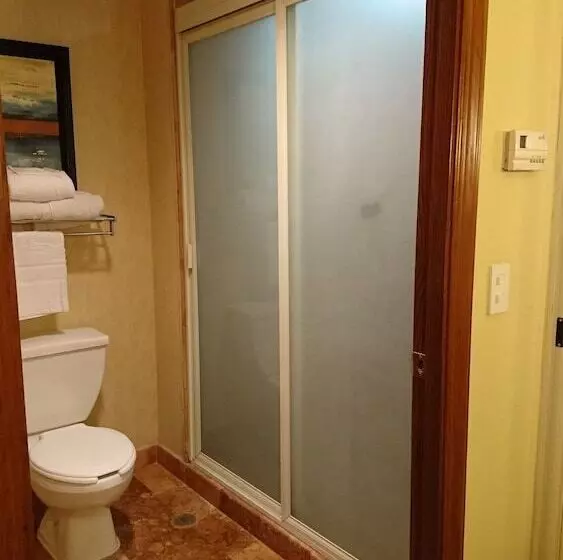 Fotos del hotel Mision Grand Torreon:  20