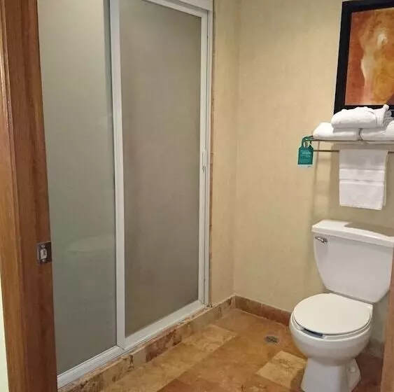 Fotos del hotel Mision Grand Torreon:  18