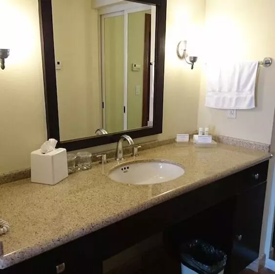 Fotos del hotel Mision Grand Torreon:  12