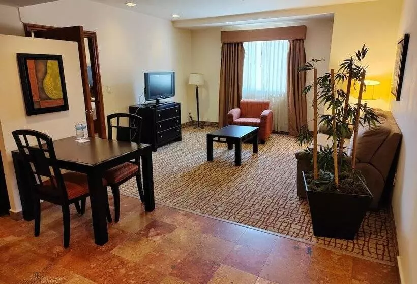 Fotos del hotel Mision Grand Torreon:  24