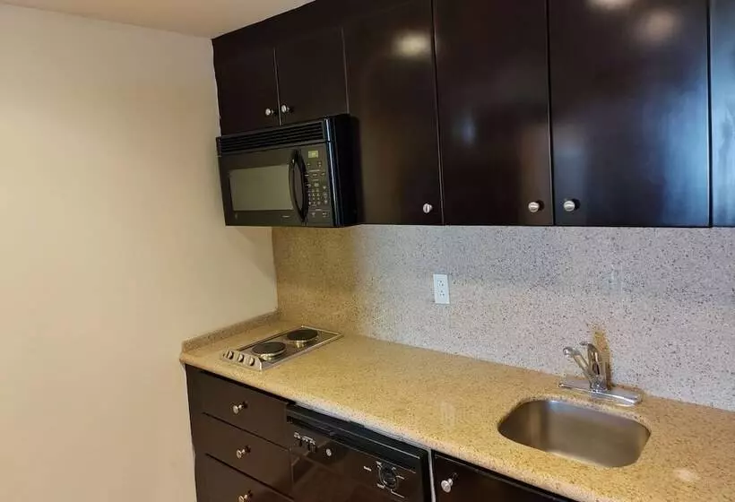 Fotos del hotel Mision Grand Torreon:  6