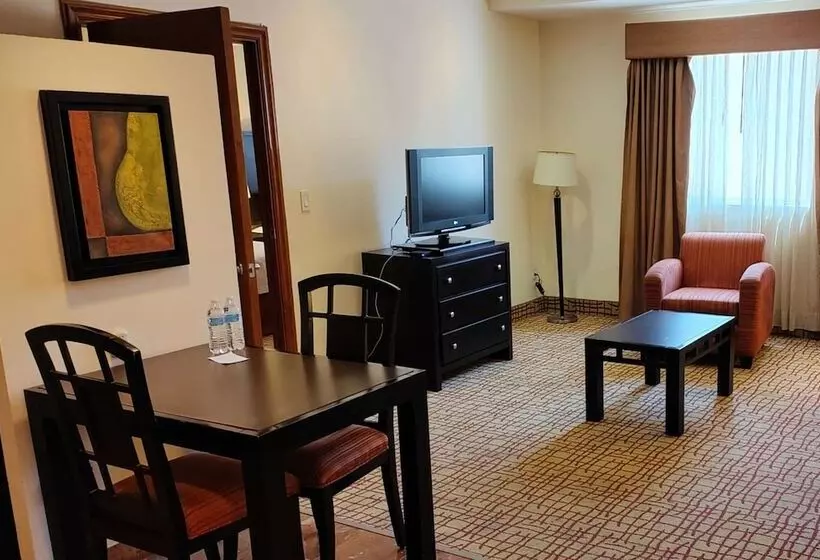 Fotos del hotel Mision Grand Torreon:  23