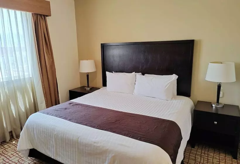 Fotos del hotel Mision Grand Torreon:  13