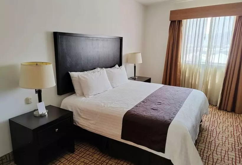 Fotos del hotel Mision Grand Torreon:  8