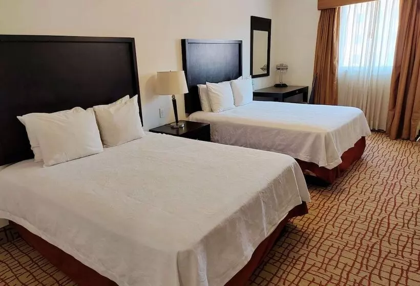 Fotos del hotel Mision Grand Torreon:  19