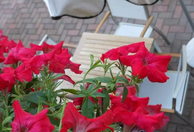 Fotos del hotel Lux:  16