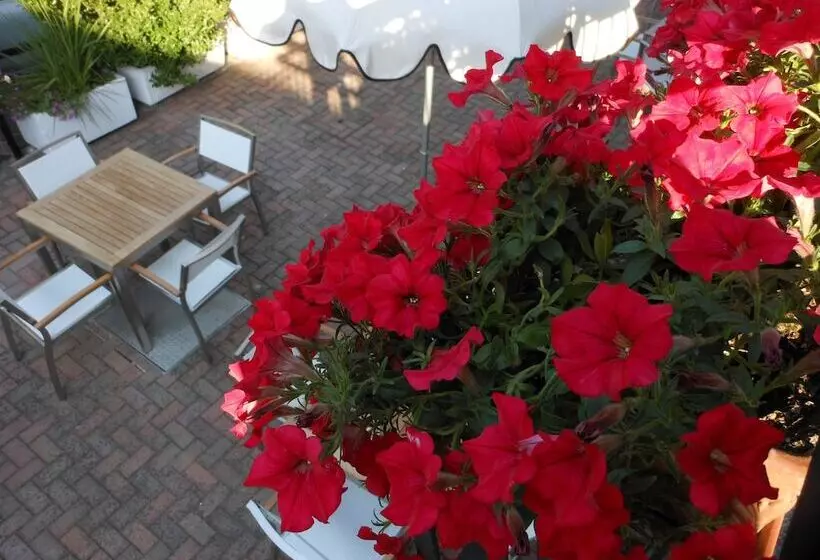 Fotos del hotel Lux:  6