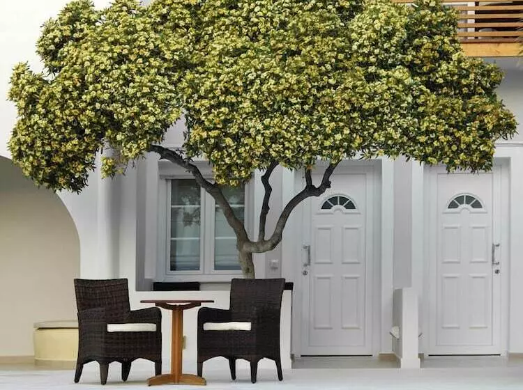 Fotos del hotel Nissaki Beach:  18