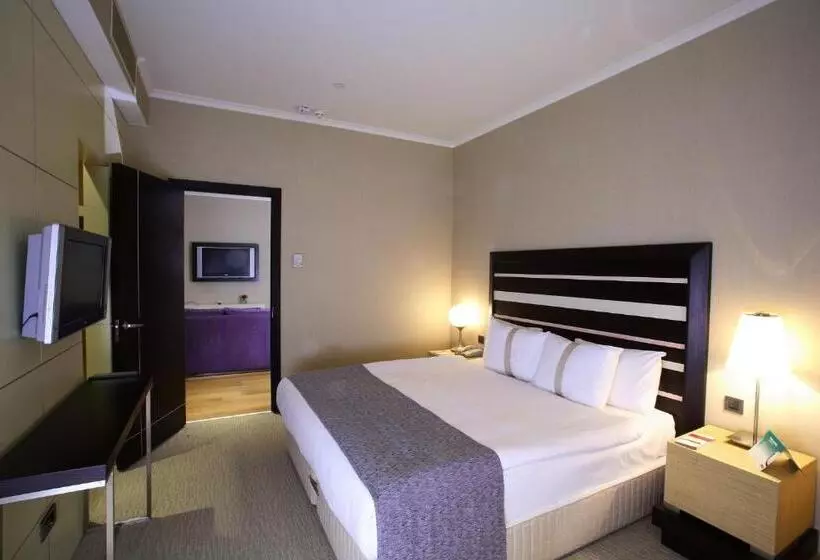 Fotos del hotel Holiday Inn Istanbul Airport , An Ihg:  5