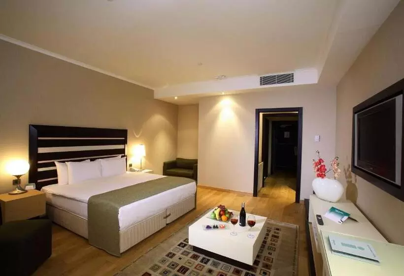 Fotos del hotel Holiday Inn Istanbul Airport , An Ihg:  6