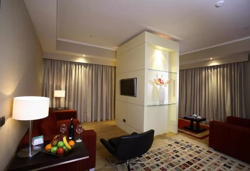 Fotos del hotel Holiday Inn Istanbul Airport , An Ihg:  24