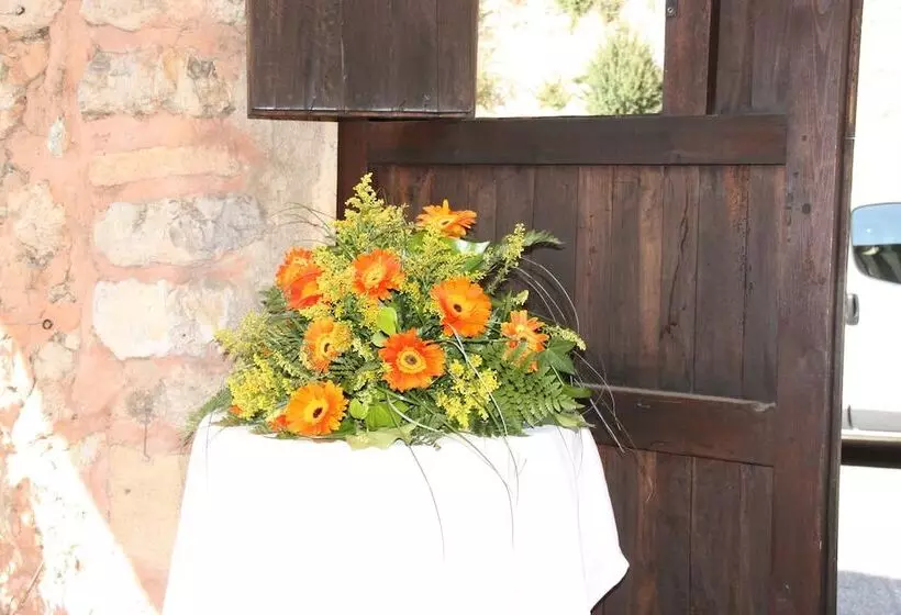 Fotos del hotel Palacio Sant Salvador:  4