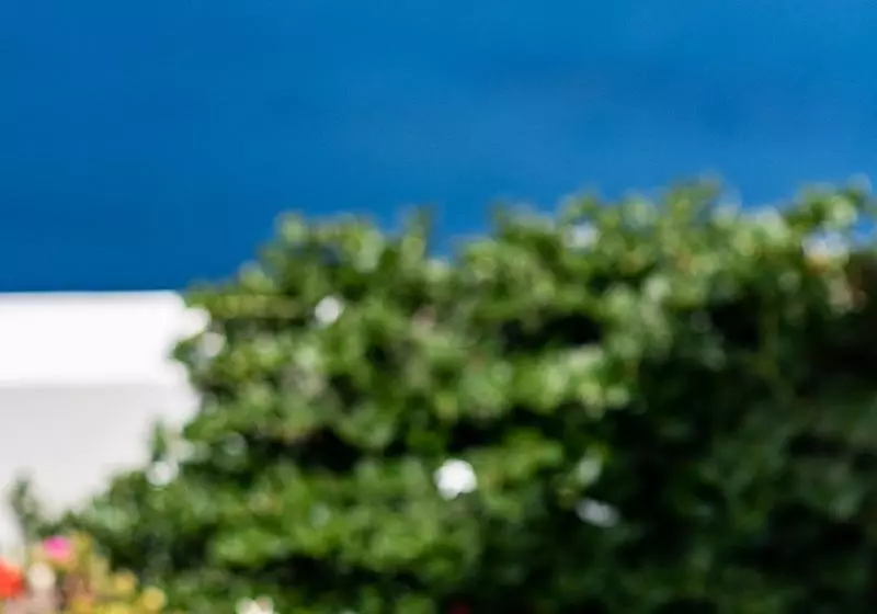 Fotos del hotel Pantelia Suites:  12