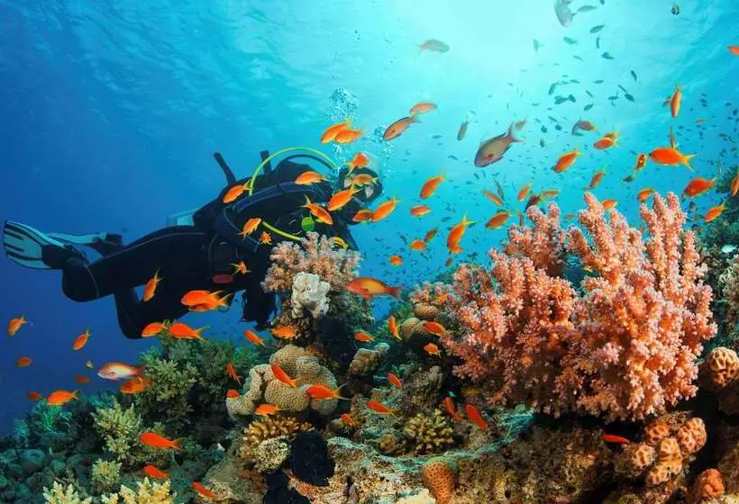 Fotos del hotel Kempinski Hotel Aqaba:  8