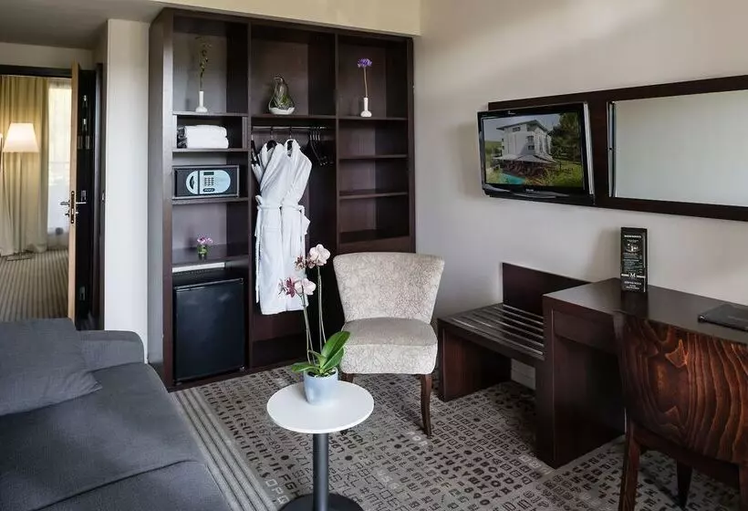 Fotos del hotel Best Western Plus Hôtel De L Arbois:  13