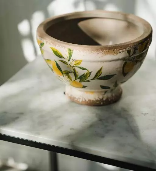 Fotos del hotel Edouard Vii:  21