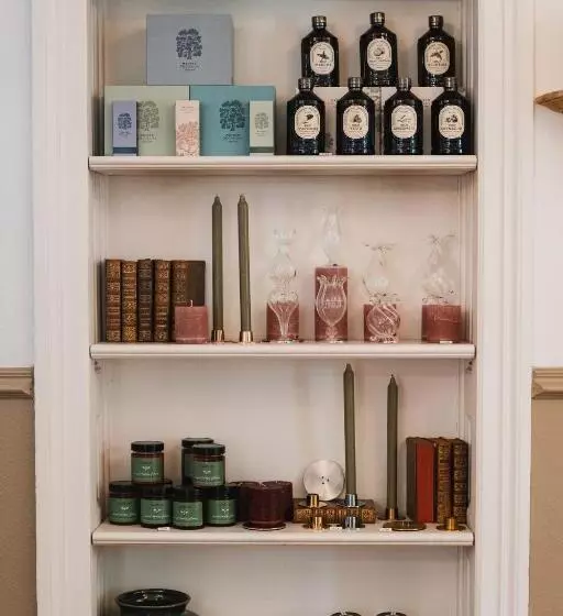 Fotos del hotel Edouard Vii:  13