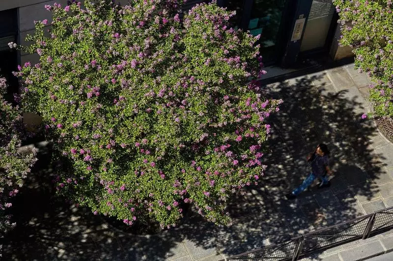 Fotos del hotel 3h Paris Marais Hôtel:  6