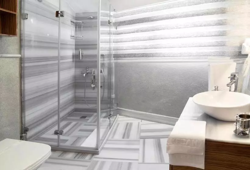 Fotos del hotel Buyuk Keban:  7