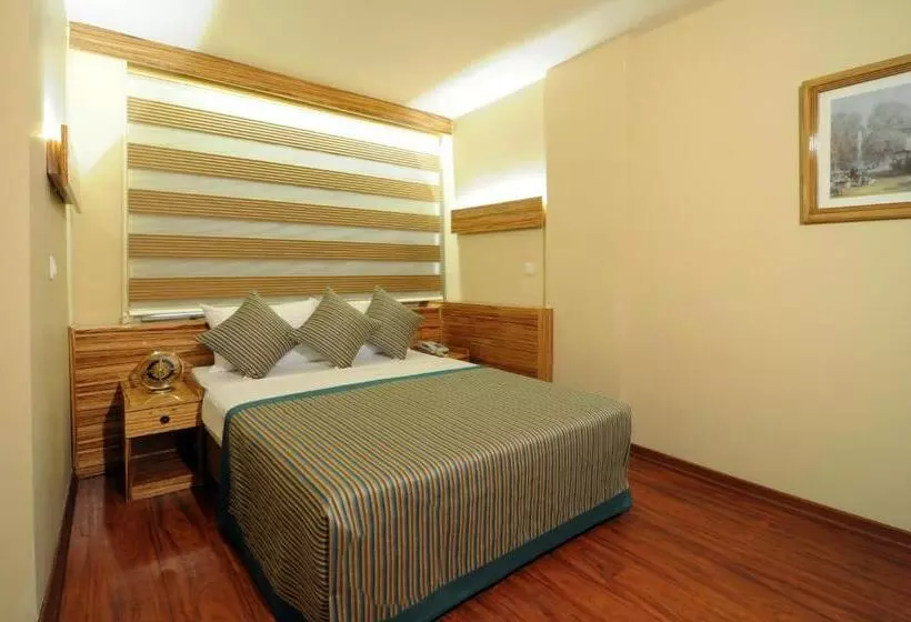 Fotos del hotel Buyuk Keban:  12