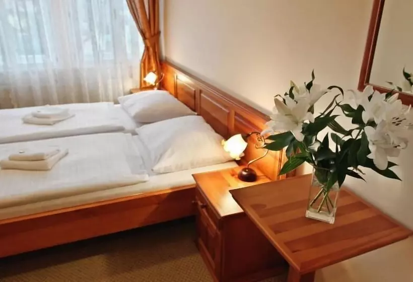 Fotos del hotel Liliova Prague Old Town:  23