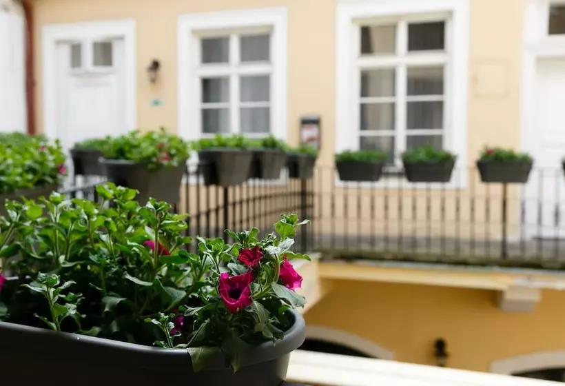 Fotos del hotel Pension U Lilie:  21