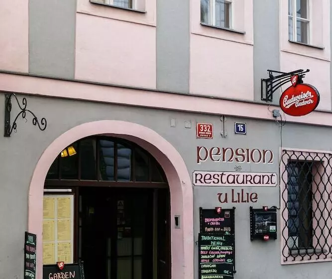 Fotos del hotel Pension U Lilie:  23