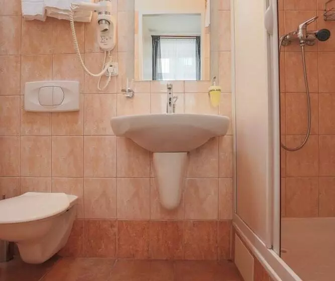 Fotos del hotel Pension U Lilie:  25